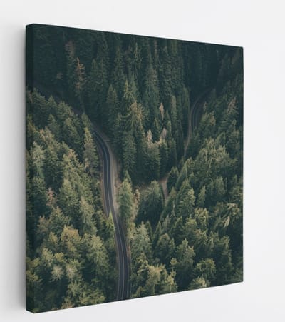 Saammp Canvas Schilderij - Weg tussen de bomen door - Natuur - 20x20 - Foto op canvas - Wanddecoratie - Muurdecoratie Woonkamer - Slaapkamer decoratie - Canvas Print
