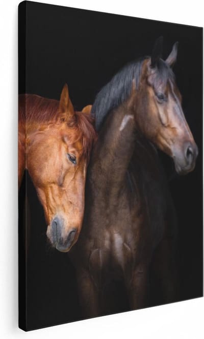 Artaza Canvas Schilderij Paard - 30x40 cm - Klein - Wanddecoratie Dierenkop - Muurdecoratie Woonkamer - Kamer Accessoires