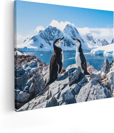 Artaza Canvas Schilderij Pinguïns Antarctica - 50x40 cm - Wanddecoratie Landschap - Muurdecoratie Sneeuw - Kamer Accessoires Natuur