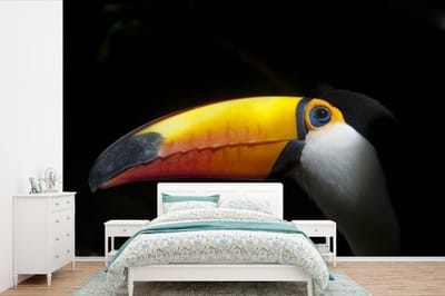 Behang - Fotobehang Toekan - Vogel - Snavel - Breedte 390 cm x hoogte 260 cm