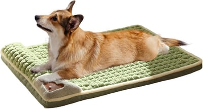 Famanu – Groot hondenbed -wasbaar -traagschuim huisdierbed met afneembare hoes -zachte hondenmatras voor kleine en middelgrote honden