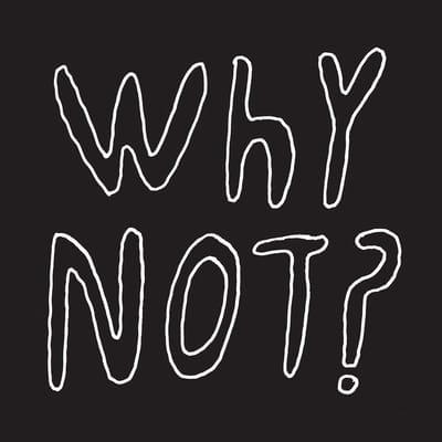 Half Japanese - Why Not? (LP)