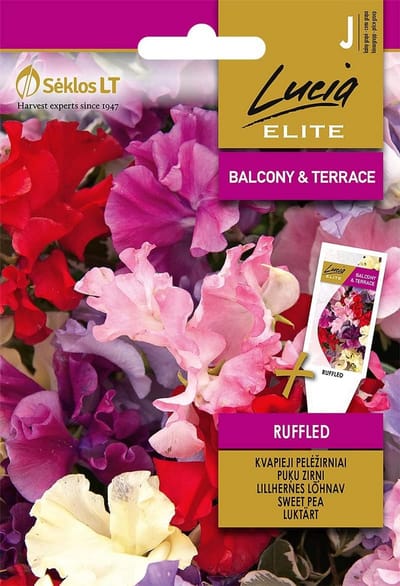 Bloemenzaadjes - Planten zaden - Zelf tuinieren - Eenjarige klimmer - 10 gram