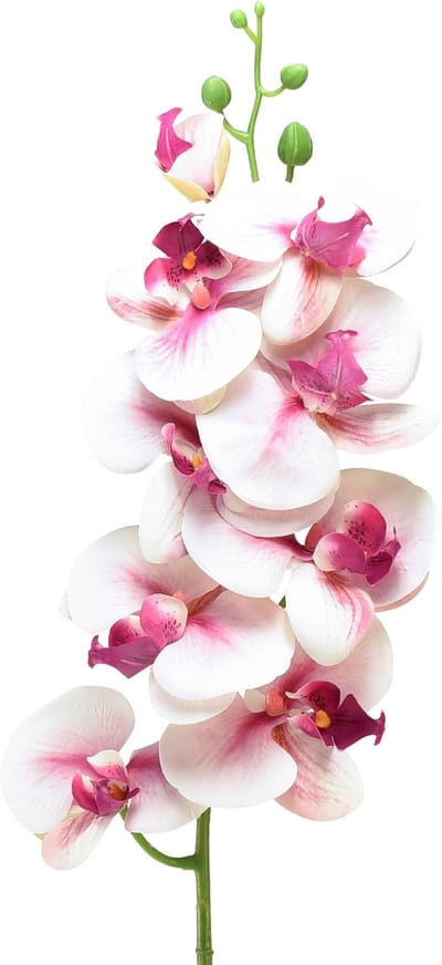 Orchidee Phalaenopsis kunst 9 bloemen wit fuchsia 96cm
