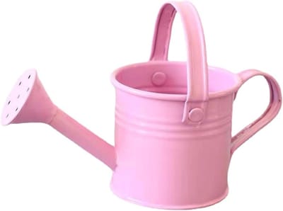 Metalen Gieter - Mini Gieter Waterfles - Planten Water Geven - Lange Nauwkeurige Mond