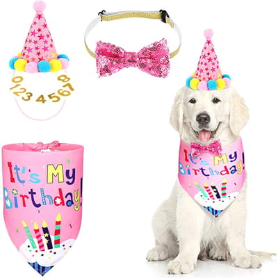 Huisdier Verjaardagsset Hond Sjaal Hoed Banner Vlag Digitale Set Huisdier Feest Requisieten
