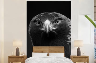 Behang - Fotobehang Buizerd - Vogel - Dieren - Zwart - Wit - Breedte 195 cm x hoogte 300 cm