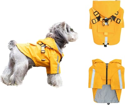 JeiibrZui 1 Stuk Hondenregenjas voor Kleine Honden, Waterdicht & Reflecterend, Regenjas voor Puppies en Kleine Rassen