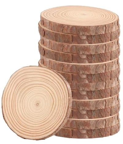 Houten Schijven voor Knutselen - 12 Stuks Ronde Houten Circles (12-14 cm) voor DIY Projecten