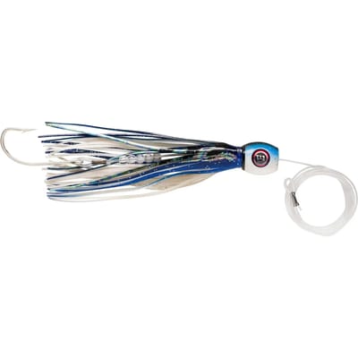 Lok Williamson Hspeed Sailfish