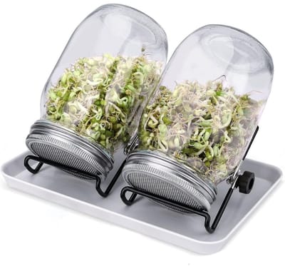 CLVP® Kiempot voor Kiemzaden - Kiemtoren - Kiemglas Kiemgroente