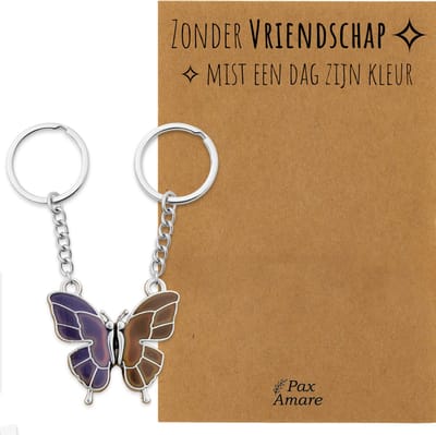 BFF Sleutelhanger voor 2 'Zonder Vriendschap mist een dag zijn kleur' - Vlinder VERANDERT VAN KLEUR - Sleutelhanger set op Cadeau Kaartje - Zilverkleurig - Vriendschap Symbool - Pax Amare