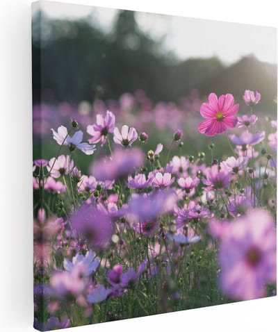 Artaza Canvas Schilderij Bloemen - 80x80 cm - Wanddecoratie Bloemenveld - Muurdecoratie Woonkamer - Roze