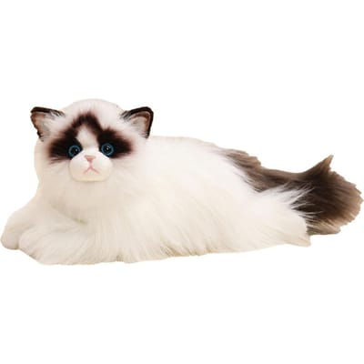 'S Begeleidende Gevulde Gesimuleerde Kat Lang Haar Pluizige Ragdoll Kat Comfort 50Cm Kittige Figuren Verjaardag Kerstmis wit