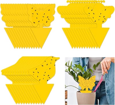 Gele Vliegenvallen en Stickers tegen Vliegende Insecten - Effectieve Oplossing voor Planten en Tuin