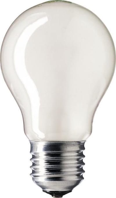 25W Philips standaard gloeilamp mat E27