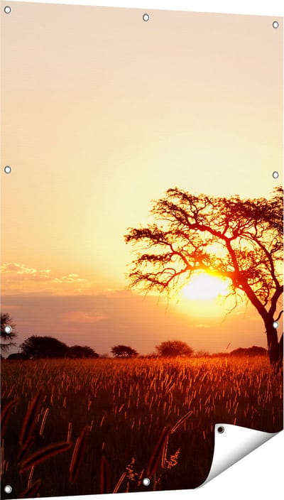 Gards Tuinposter Zonsondergang Achter een Acacia Boom - 80x120 cm - Tuindoek - Tuindecoratie - Wanddecoratie buiten - Tuinschilderij