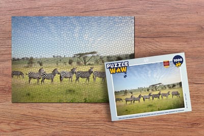 Puzzel Een lijn van Zebras lopen op de savanne van het Nationaal park Serengeti in Tanzania - Legpuzzel - Puzzel 1000 stukjes volwassenen