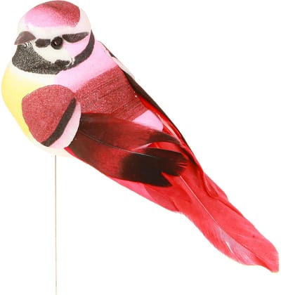 Decoratieve vogelveren op draad 6 assorti 8x3,5cm 12 st, 12 Stück