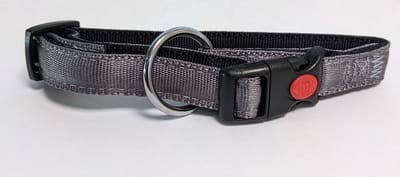 De-Tail Halsband nylon met zachte voering+snelsluiting 10mm x 20-30cm Grijs