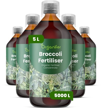 Vloeibare Meststof Voor Broccoli 5X1 L Voor 5000 L - Npk 2-1-8 - Krachtige Groei - Sterk Wortelstelsel - Stressbestendigheid - Nutriëntenopname - Plantvitaliteit - Stevige Stengels - Diepgroene Bladkleur - Voedingswaarde - Organifer
