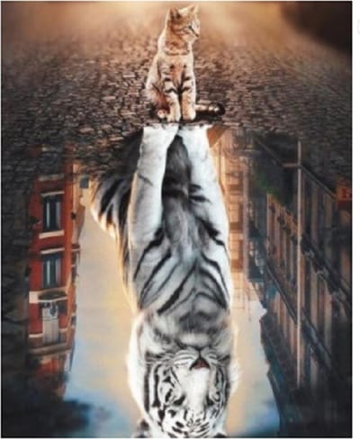 Diamond painting 40x50cm - poes/kat kijkt in plas - ronde steentjes