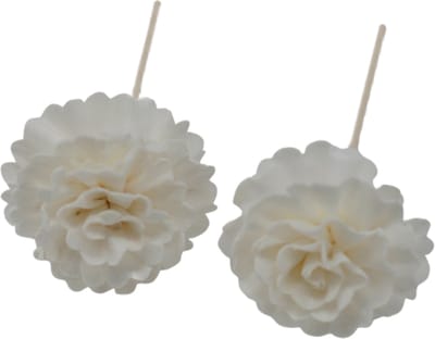 Geurstokjes bloemen - Natuurlijke Diffuser Bloemen - Anjer aan Rietstengel - 2 Stuks - Geurverspreider