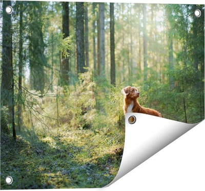 Gards Tuinposter Retriever Hond in het Bos met Zon - 50x40 cm - Tuindoek - Tuindecoratie - Wanddecoratie buiten - Tuinschilderij