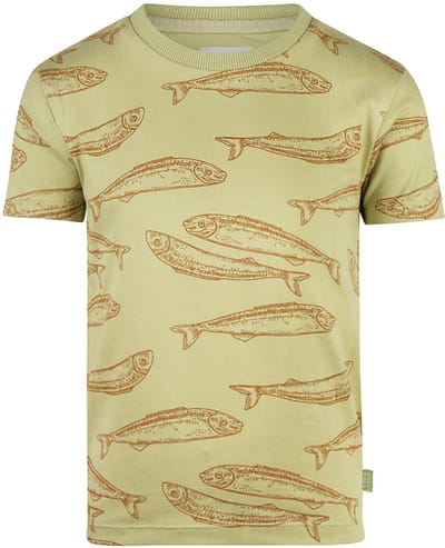 Koko Noko Jongens T-shirt - Faded green