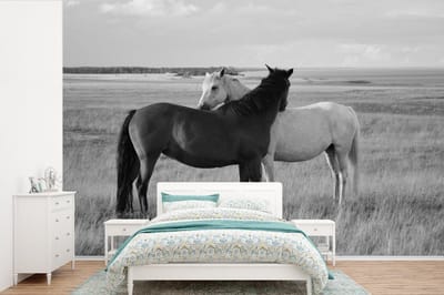 Behang - Fotobehang Paarden - Dieren - Portret - Zwart wit - Platteland - Breedte 360 cm x hoogte 240 cm