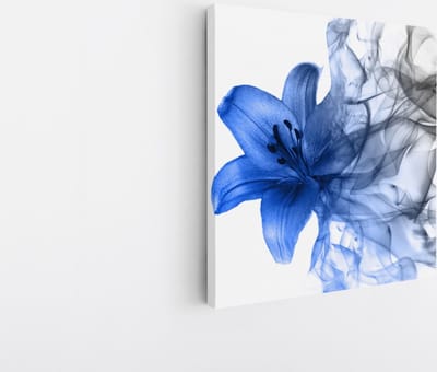 Saammp Canvas Schilderij - Blauwe bloem - Natuur - 20x20 - Foto op canvas - Wanddecoratie - Muurdecoratie Woonkamer - Kantoor Decoratie