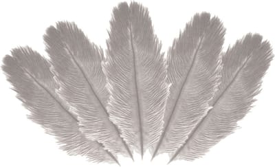 Chaks Struisvogelveren/sierveren - 5x - lichtgrijs - 20-25 cm - decoratie/hobbymateriaal