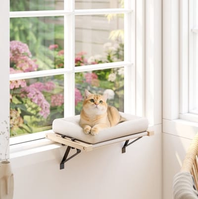 MEUNIQ kattenhangmat voor vensterbank of radiator 50 x 36 x 24 cm met verstelbare bevestiging 4-12 cm, afneembaar wasbaar kussen, houten frame, Crème