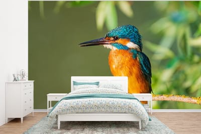 Behang - Fotobehang Vogel - IJsvogel - Tak - Bladeren - Mos - Breedte 295 cm x hoogte 220 cm