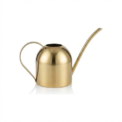 SINIA Living® - Luxe Gieter - Goud - 1L - Binnen - Compact - 1 liter - RVS - Metaal - Modern - Goud - Planten gieter - Roestvrijstalen - Bloemengieter - buiten - Tuinaccessoires - Woonaccessoires - Cadeau - Gieters - Kamerplanten - Gouden look - Geel