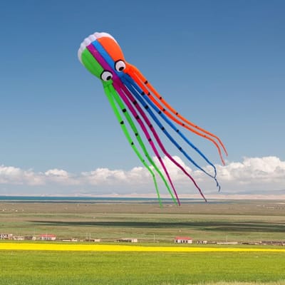 Octopus Vlieger - Grote Stuntvlieger - Buitenactiviteiten Gezin - Direct Klaar Voor Gebruik - 800cm x 110cm - Kleurrijk