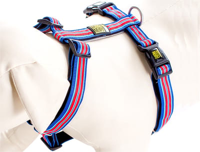 MAX & MOLLY Hampton Strip Harnas / Hondentuigje - Polyester - Blauw - XS - Halsomvang: 24 - 39 cm -Borstomtrek: 32 - 40 cm (GELIEVE ALVORENS BESTELLEN OPMETEN)