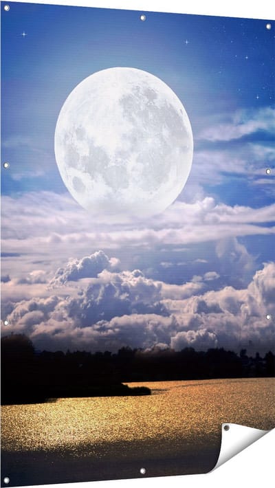 Gards Tuinposter Volle Maan bij het Water - 100x150 cm - Tuindoek - Tuindecoratie - Wanddecoratie buiten - Tuinschilderij