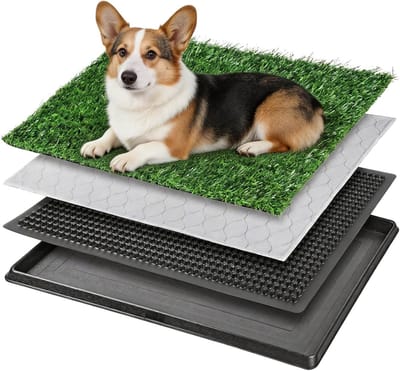 Honden Toilet - Plasmat Honden - Zindelijkheid Training - Drie Laags Systeem - 50 x 40 cm - Groen