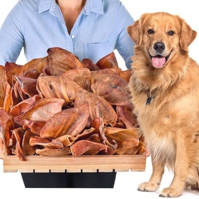 Gedroogde Varkensoren voor Honden - 100 Stuks (4 kg) - 100% Natuurlijk, Graanvrij Kauwartikel, Langdurig Kauwplezier voor Kleine en Grote Honden