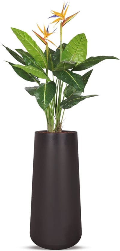 Kunstplant Strelitzia in Lucas H195 cm
