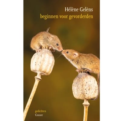 Beginnen Voor Gevorderden - Hélène Gelèns