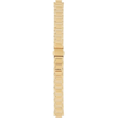 Bering Straps PT-A15630T-BTG1 Titanium Horlogeband