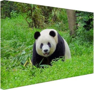 Grote panda in het gras Canvas 30x20 cm - klein - Foto print op Canvas schilderij (Wanddecoratie woonkamer / slaapkamer) / Dieren Canvas Schilderijen