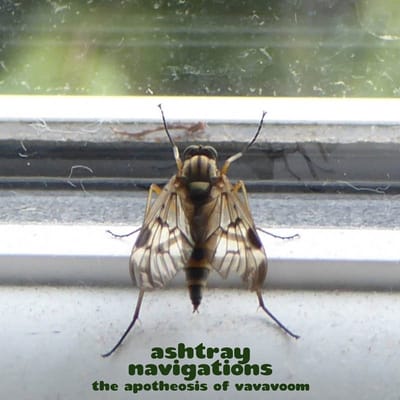 Ashtray Navigations - The Apotheosis of VaVaVoom (LP) (Coloured Vinyl)