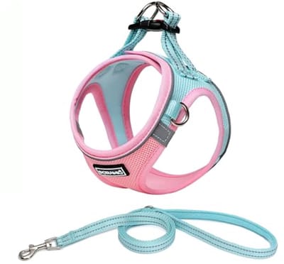 SnelShoppen - Dog Harness with Leash voor Kleine Honden - Stap-in Tuigje - Reflecterend en Ademend - Borsttuig - No Pull Veiligheidsharnas voor Kleine