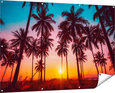 Gards Tuinposter Palmbomen op het Strand bij Zonsondergang - 150x100 cm - Tuindoek - Tuindecoratie - Wanddecoratie buiten - Tuinschilderij