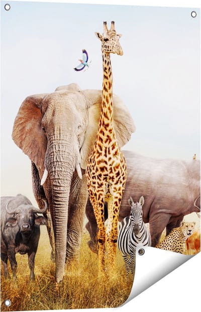 Gards Tuinposter Afrikaanse Dieren op het Gras - Afrika - 60x80 cm - Tuindoek - Tuindecoratie - Wanddecoratie buiten - Tuinschilderij