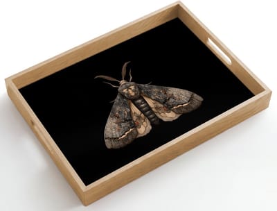 Dienblad hout 50x35 cm - Schootdienblad - Mot - Bladachtig - Grijs - Borrelplank rechthoek - Plateau dienbladen