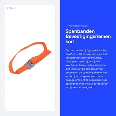 Spanbanden 12 Stuks - 2 cm x 40 cm - Bevestigingsriemen - Sjorbanden - Klemsluiting - Duurzaam PP en Zinklegering - Sjorband